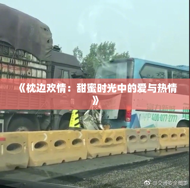 《枕边欢情：甜蜜时光中的爱与热情》