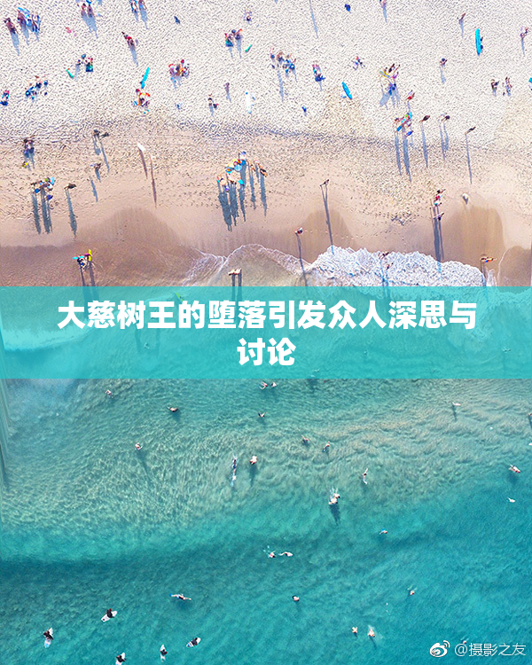 大慈树王的堕落引发众人深思与讨论