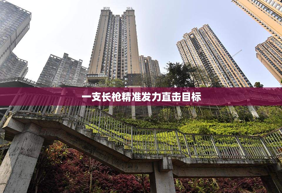 一支长枪精准发力直击目标