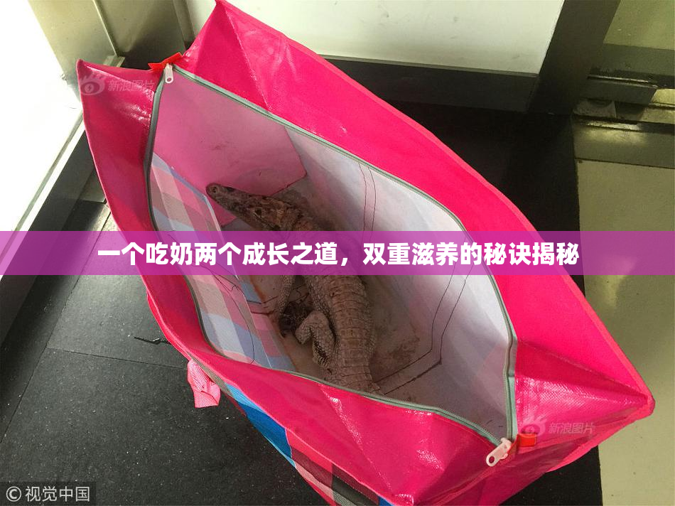 一个吃奶两个成长之道，双重滋养的秘诀揭秘