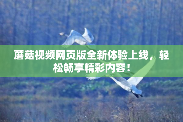 蘑菇视频网页版全新体验上线，轻松畅享精彩内容！