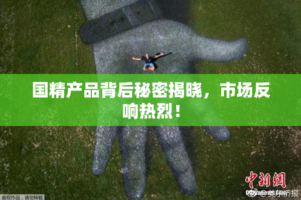 国精产品背后秘密揭晓，市场反响热烈！