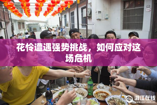花怜遭遇强势挑战，如何应对这场危机