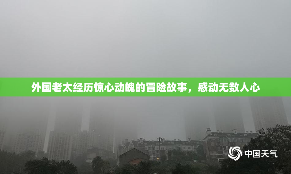 外国老太经历惊心动魄的冒险故事，感动无数人心