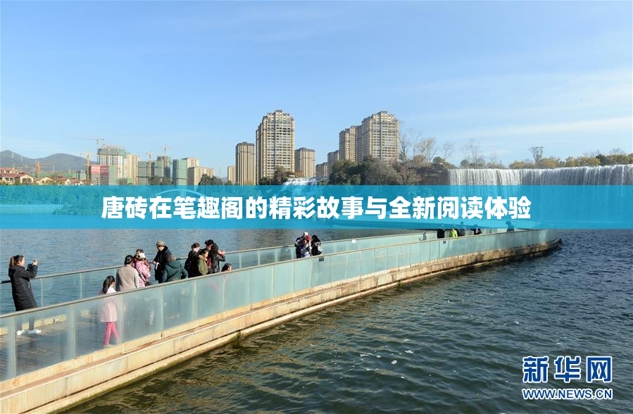 唐砖在笔趣阁的精彩故事与全新阅读体验