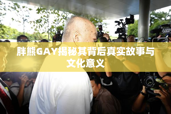 胖熊GAY揭秘其背后真实故事与文化意义