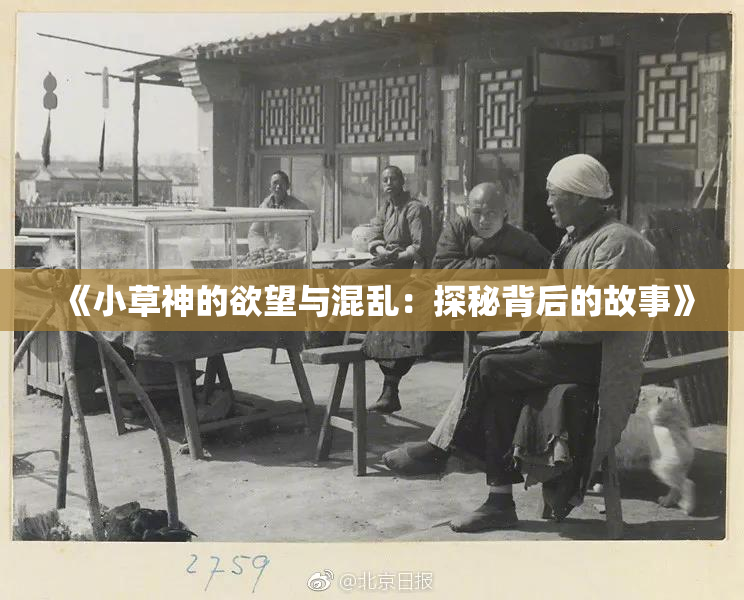 《小草神的欲望与混乱：探秘背后的故事》