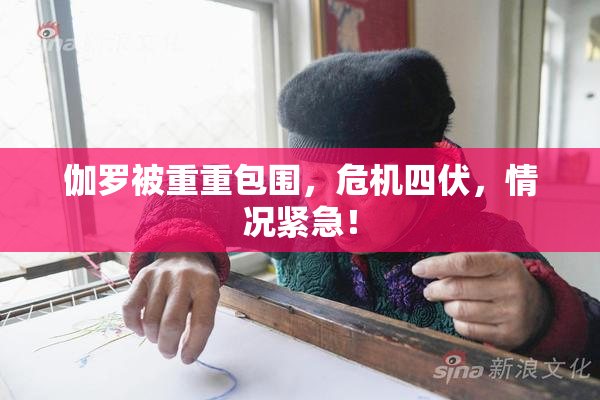 伽罗被重重包围，危机四伏，情况紧急！