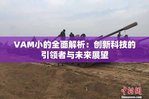 VAM小的全面解析：创新科技的引领者与未来展望