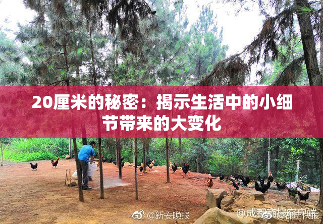 20厘米的秘密：揭示生活中的小细节带来的大变化