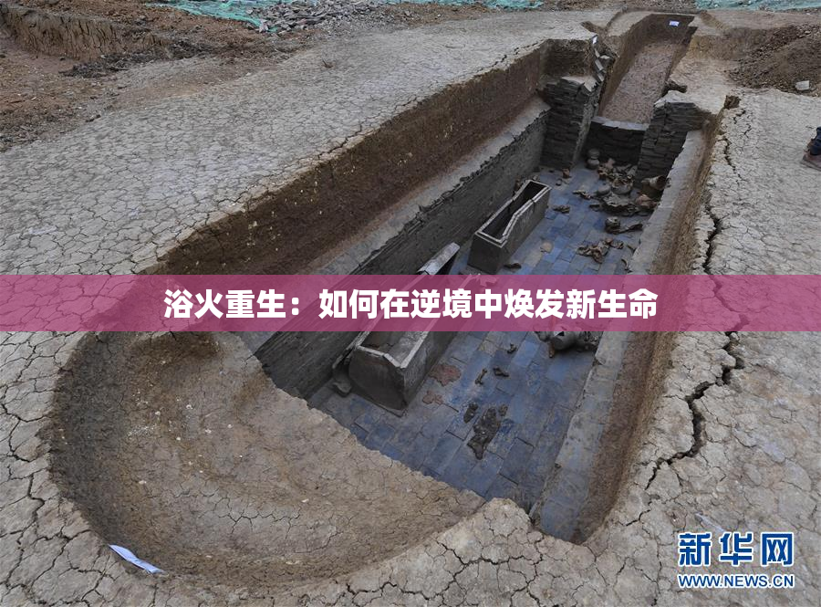 浴火重生：如何在逆境中焕发新生命