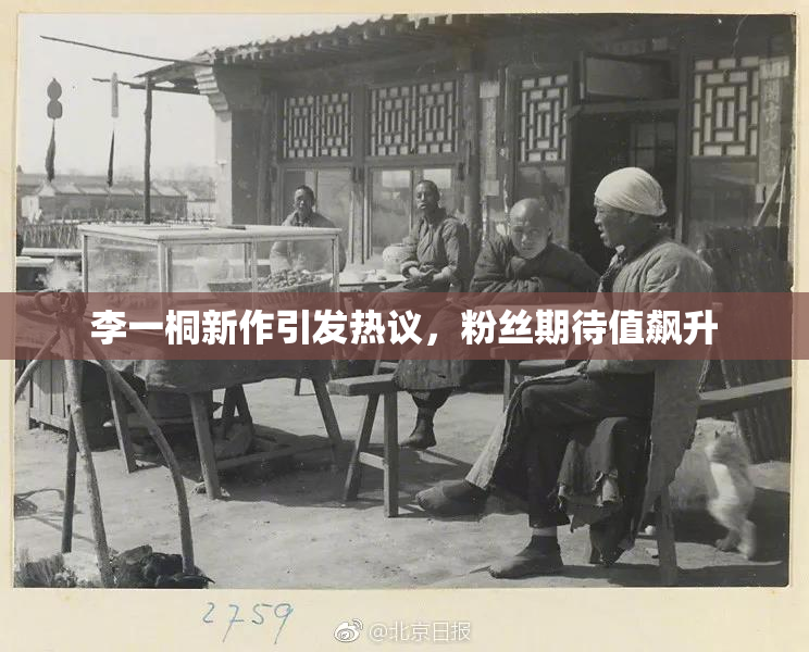 李一桐新作引发热议，粉丝期待值飙升