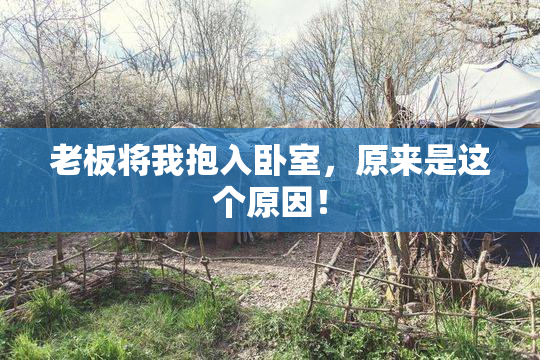 老板将我抱入卧室，原来是这个原因！