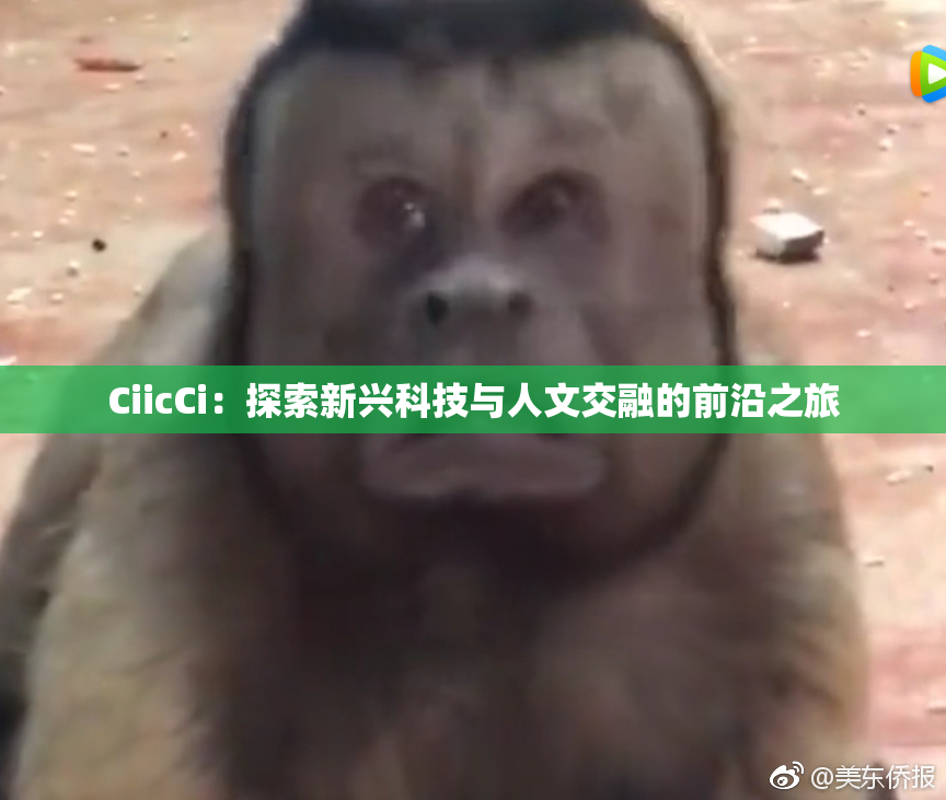 CiicCi：探索新兴科技与人文交融的前沿之旅