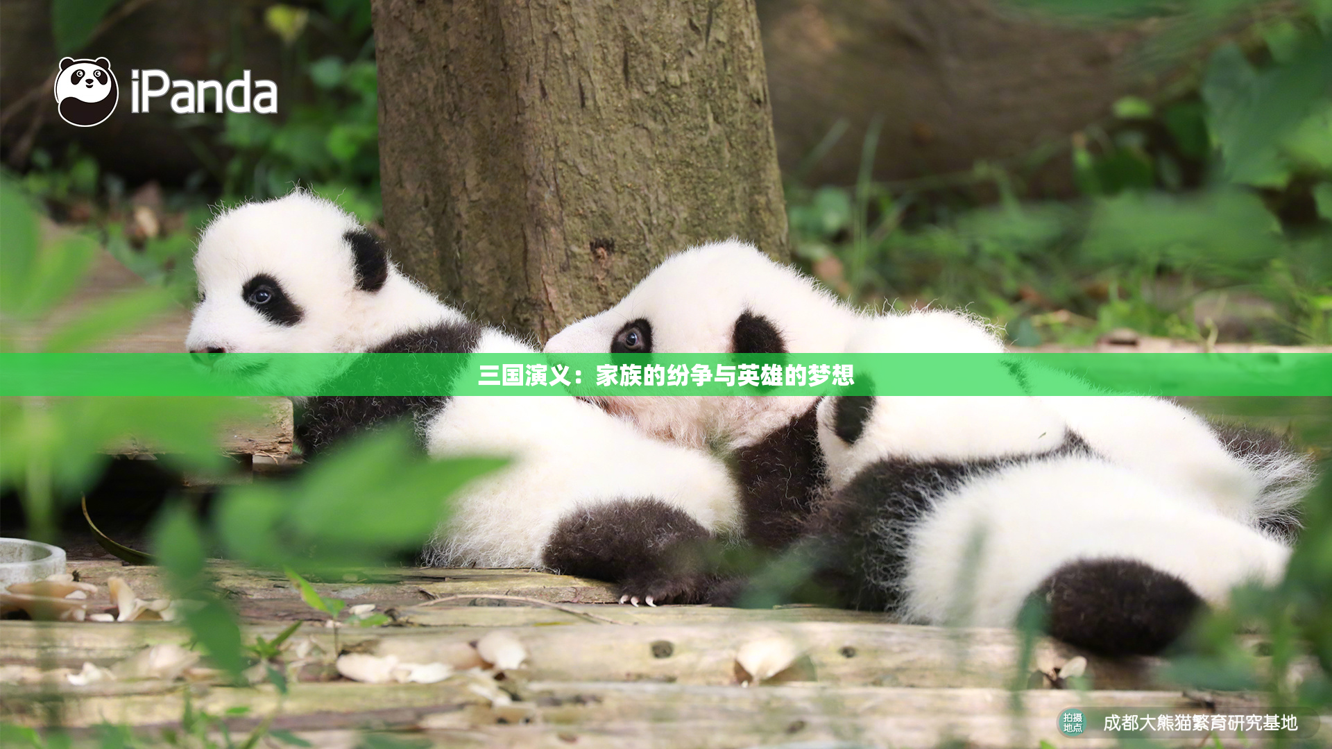 三国演义：家族的纷争与英雄的梦想