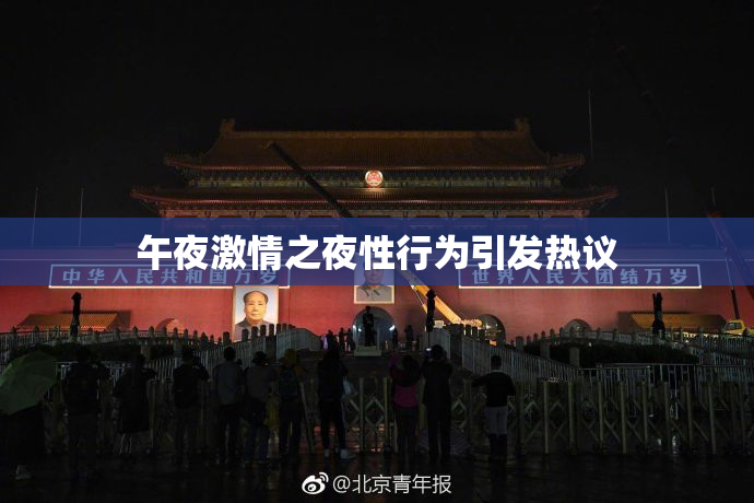 午夜激情之夜性行为引发热议