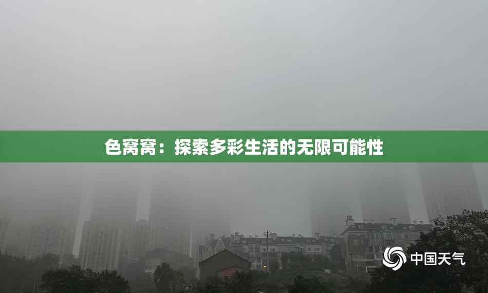 色窝窝：探索多彩生活的无限可能性
