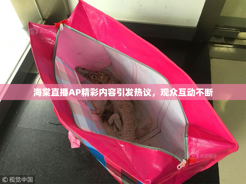 海棠直播AP精彩内容引发热议，观众互动不断
