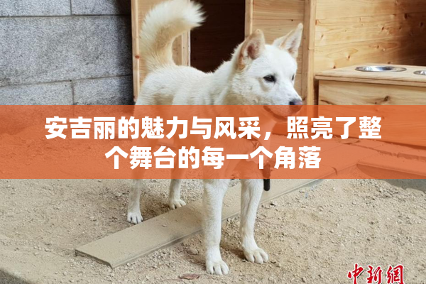 安吉丽的魅力与风采，照亮了整个舞台的每一个角落