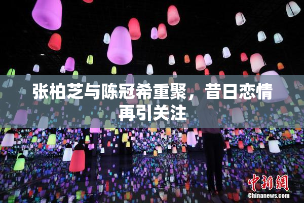 张柏芝与陈冠希重聚，昔日恋情再引关注