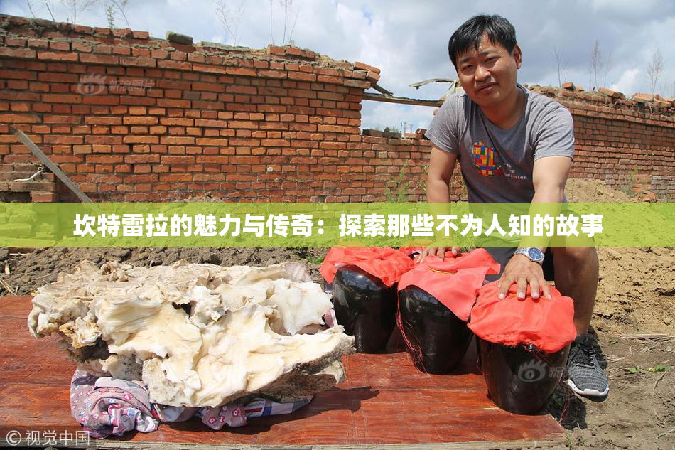 坎特雷拉的魅力与传奇：探索那些不为人知的故事