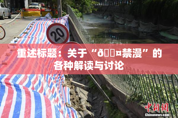 重述标题：关于“🖤禁漫”的各种解读与讨论