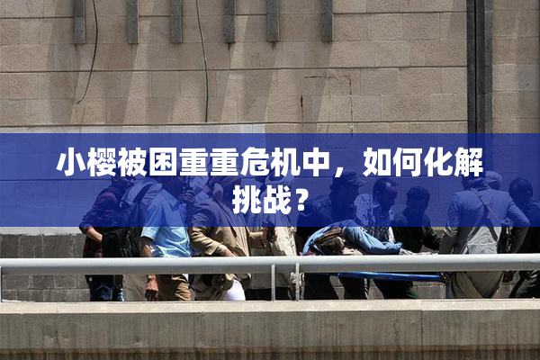 小樱被困重重危机中，如何化解挑战？