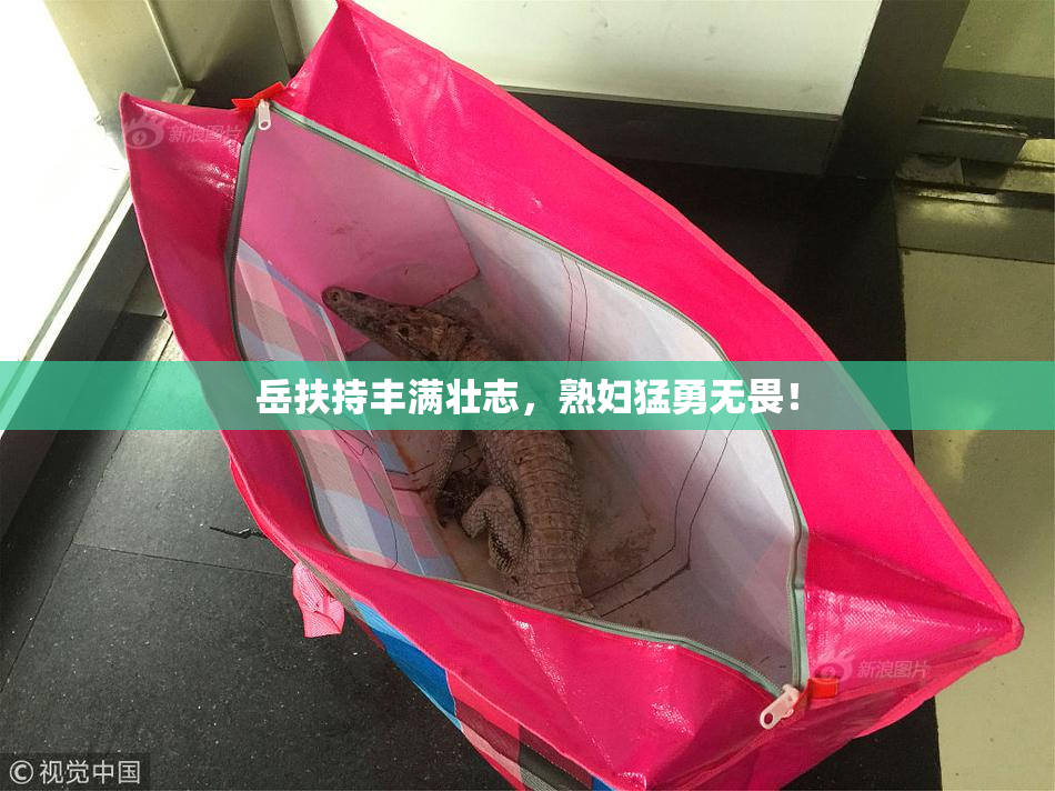 岳扶持丰满壮志，熟妇猛勇无畏！
