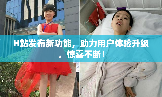 H站发布新功能，助力用户体验升级，惊喜不断！