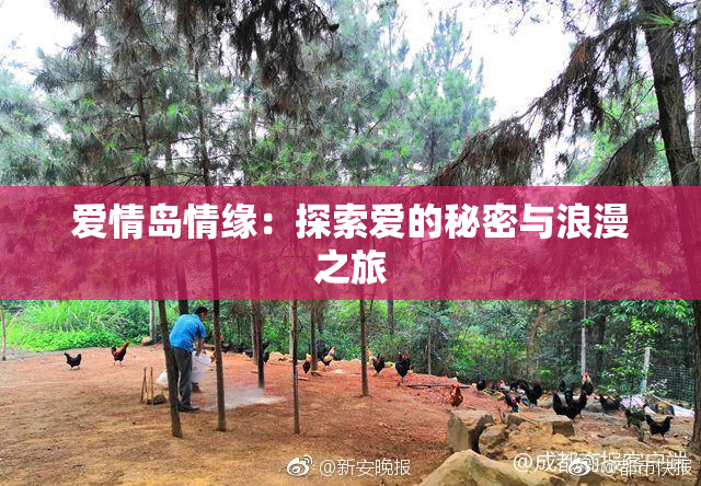爱情岛情缘：探索爱的秘密与浪漫之旅