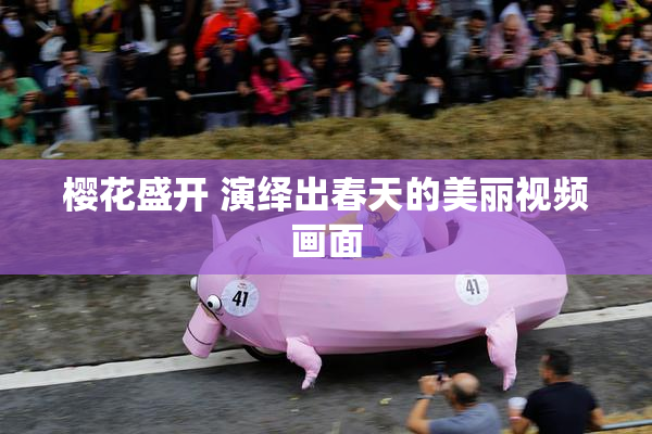 樱花盛开 演绎出春天的美丽视频画面