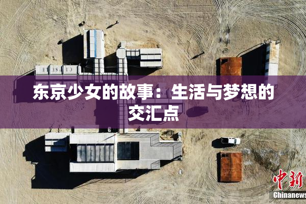 东京少女的故事：生活与梦想的交汇点