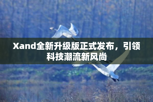 Xand全新升级版正式发布，引领科技潮流新风尚