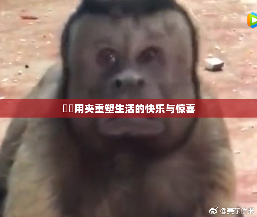 妺妺用夹重塑生活的快乐与惊喜