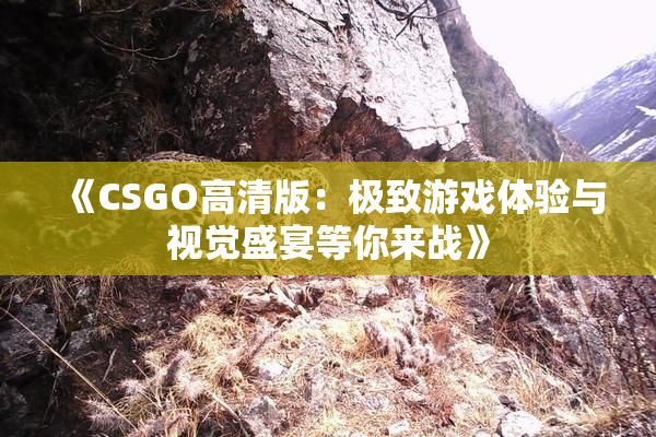《CSGO高清版：极致游戏体验与视觉盛宴等你来战》