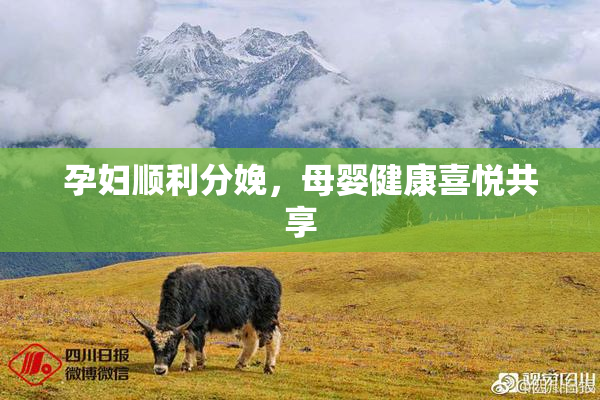 孕妇顺利分娩，母婴健康喜悦共享
