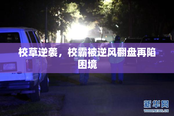 校草逆袭，校霸被逆风翻盘再陷困境