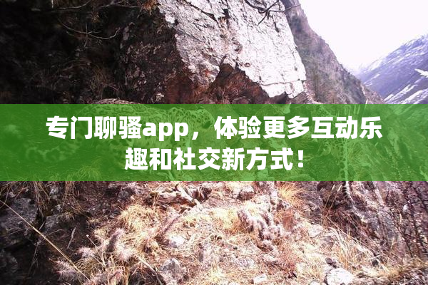 专门聊骚app，体验更多互动乐趣和社交新方式！