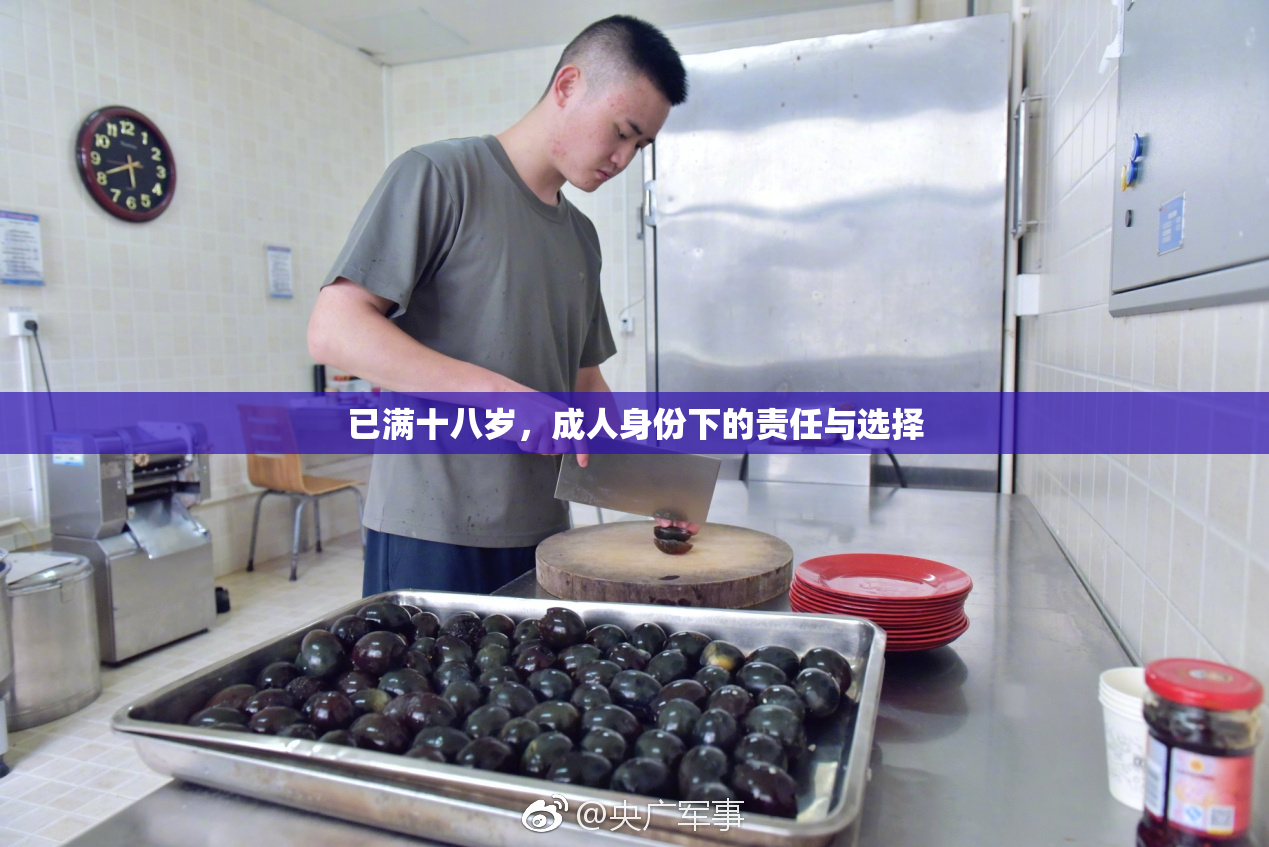 已满十八岁，成人身份下的责任与选择