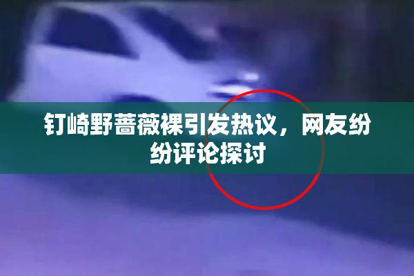钉崎野蔷薇裸引发热议，网友纷纷评论探讨