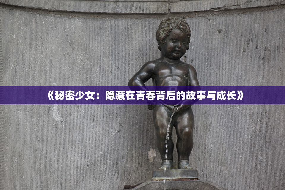 《秘密少女：隐藏在青春背后的故事与成长》