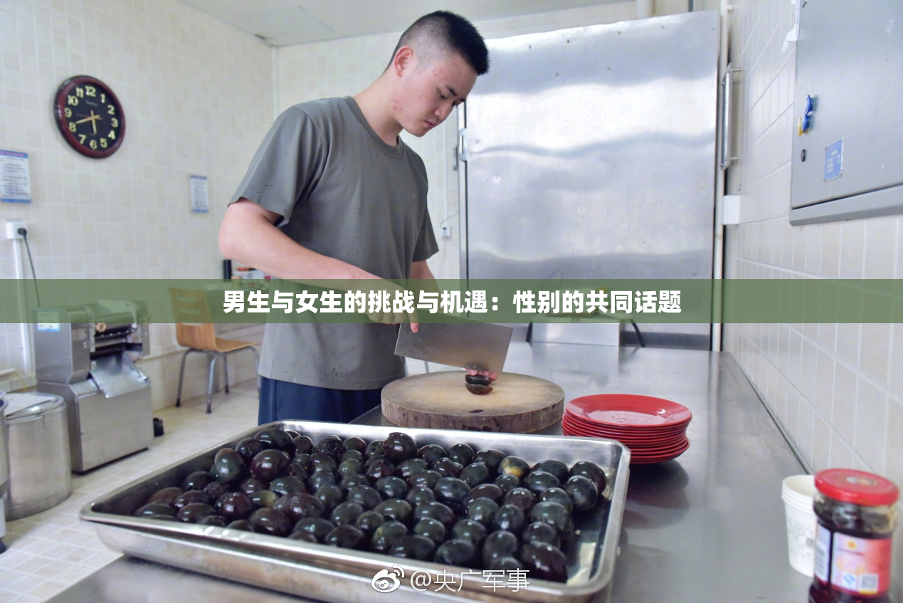 男生与女生的挑战与机遇：性别的共同话题