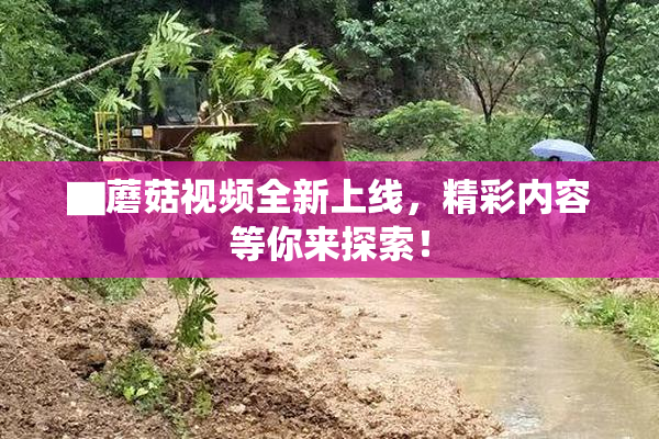 ▇蘑菇视频全新上线，精彩内容等你来探索！