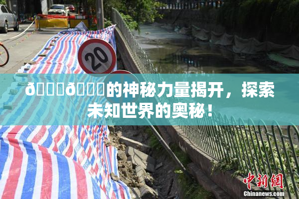🐔🐔的神秘力量揭开，探索未知世界的奥秘！