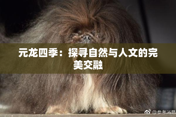 元龙四季：探寻自然与人文的完美交融