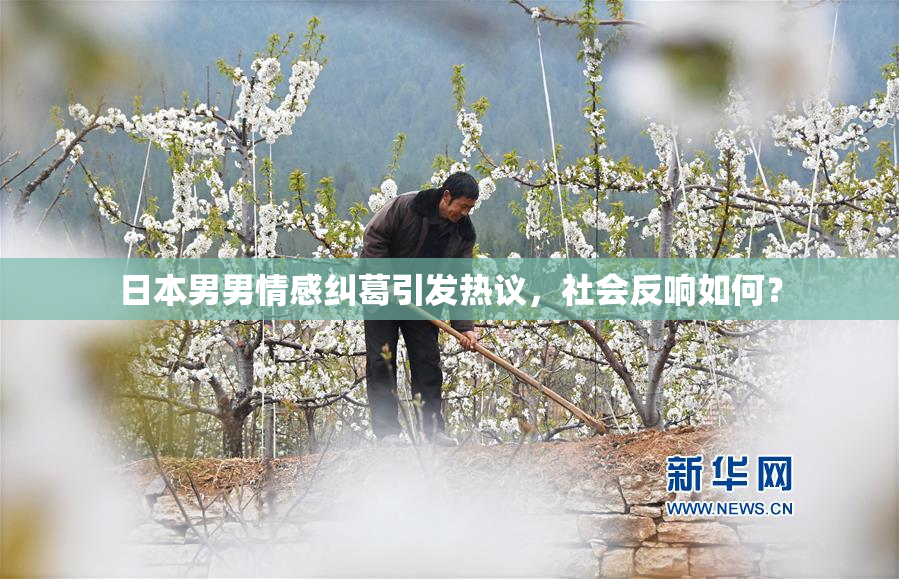 日本男男情感纠葛引发热议，社会反响如何？