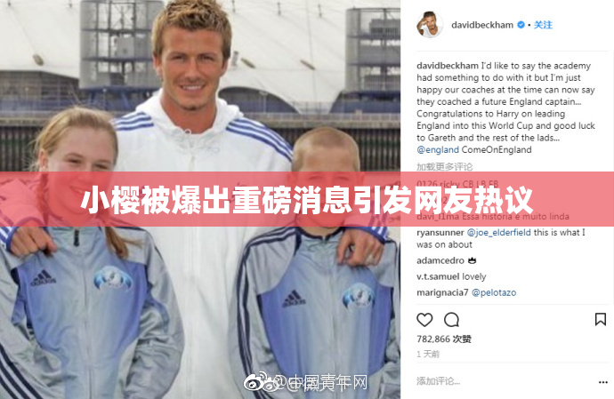 小樱被爆出重磅消息引发网友热议