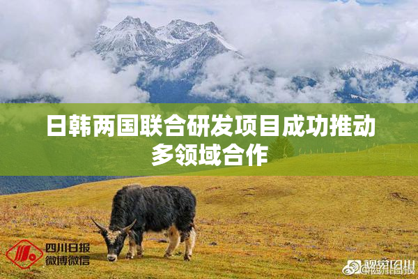 日韩两国联合研发项目成功推动多领域合作