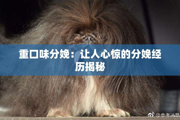 重口味分娩：让人心惊的分娩经历揭秘