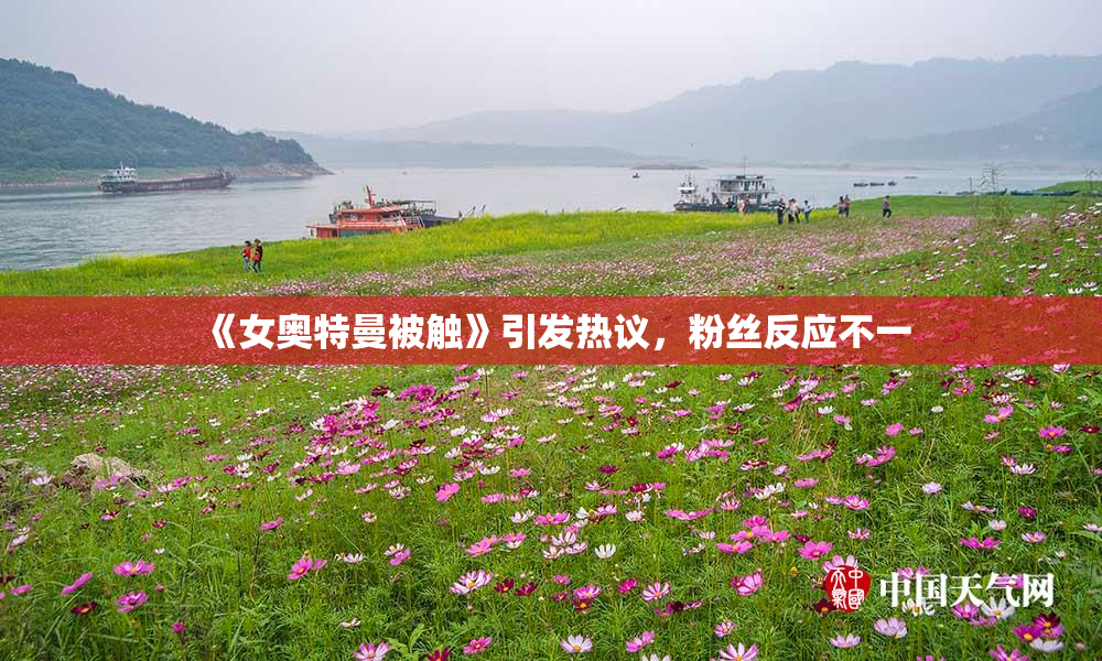 《女奥特曼被触》引发热议，粉丝反应不一